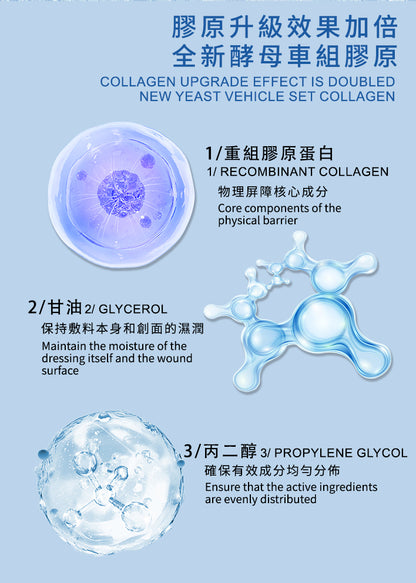 酵母重组胶原蛋白创面辅料 10盒装  50片 中国厂家直发